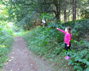 Wandlebury Iron Age Trail