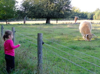 Wandlebury Iron Age Trail