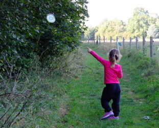 Wandlebury Iron Age Trail