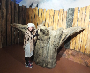 Wood Henge at Lynn Museum