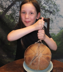 Making Pompeii style bread