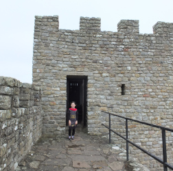 the replica stone fort