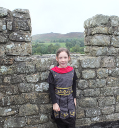 the replica stone fort