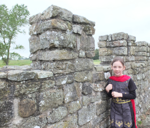 the replica stone fort