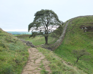 Sycamore Gap