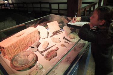 Lullingstone Roman Villa