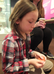 handling pottery fragments