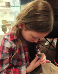 handling pottery fragments