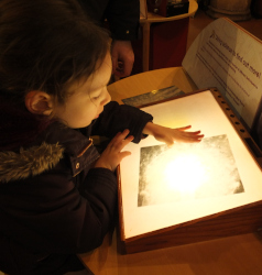 exploring the exhibits