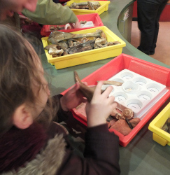 handling real finds - sorting