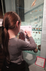 viking and anglo-saxon trail