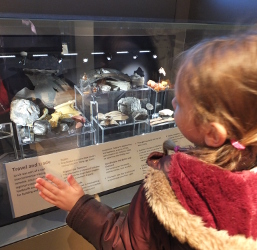 artefacts in the museum