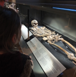 artefacts in the museum