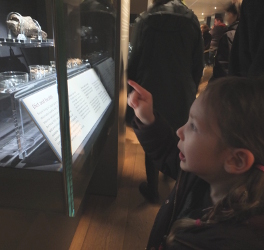 artefacts in the museum