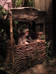 the time travel experience