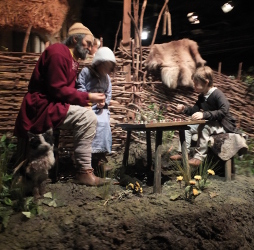 the time travel experience