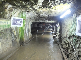 walking through one section