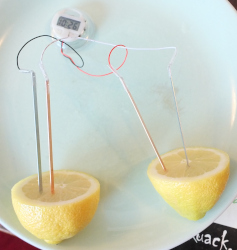 making a lemon clock