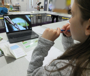 Nature's Parasites (Apocalypse Survival)