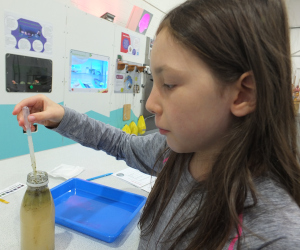 Filtering Water (Apocalypse Survival)