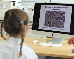 Bacteria, Viruses, & Immunology