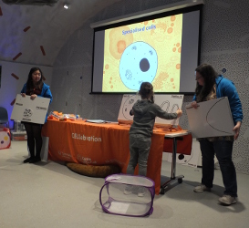 CELLebation Presentation (Centre of the Cell Jan 2020)