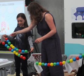 DNA Detectives Workshop