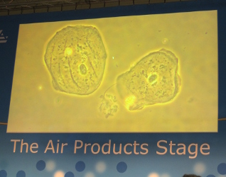 Birmingham Big Bang Fair: Invisible Worlds Talk