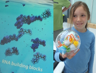 Building Blocks of Life (MRC Lab Molecular Biology)