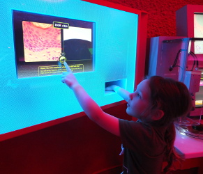 Centre of the Cell Pod (2017)