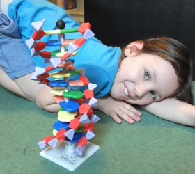 Building DNA Model