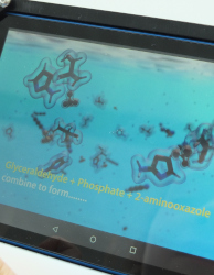 exhibit about the origins of life