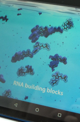 exhibit about the origins of life