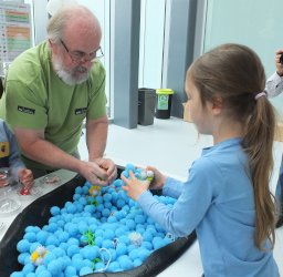 exhibit about the origins of life