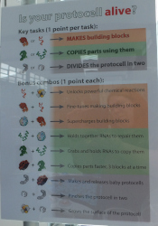 exhibit about the origins of life