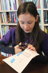 making the model of the cell membrane