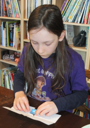 making the model of the cell membrane