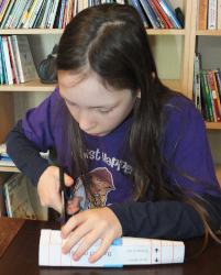 making the model of the cell membrane