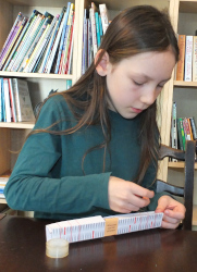 making the model of the cell membrane