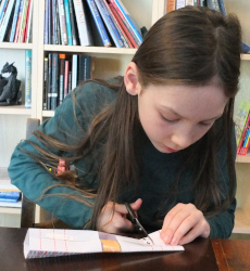 making the model of the cell membrane