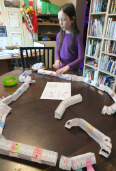 making the model of the cell membrane