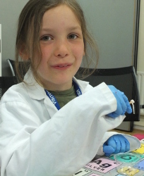 extracting DNA from strawberries