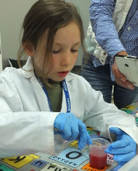 extracting DNA from strawberries