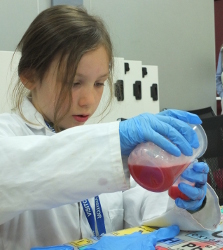 extracting DNA from strawberries