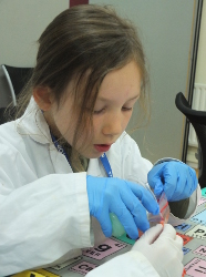 extracting DNA from strawberries