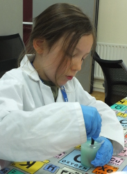 extracting DNA from strawberries