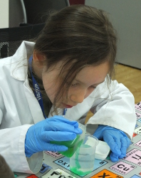 extracting DNA from strawberries