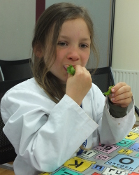 taste testing and genes