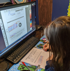 Outschool Class: Cell Membrane & Homeostasis