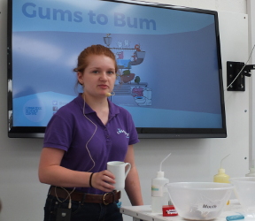 The Digestive System